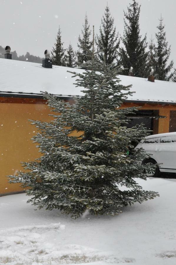 Casa En La Molina Villa La Molina  Luaran gambar